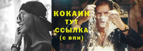 бошки Ельня