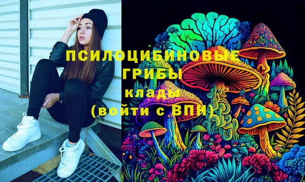 бошки Ельня