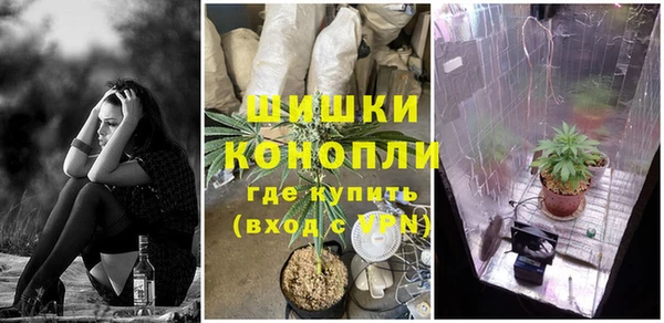 бошки Ельня
