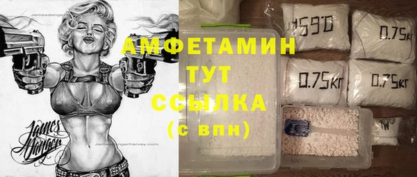 бошки Ельня