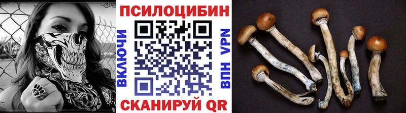 Галлюциногенные грибы Cubensis  Купить  Нелидово 