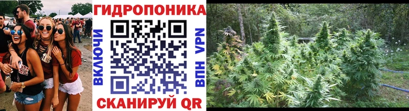 Купить  Нелидово  Конопля марихуана 